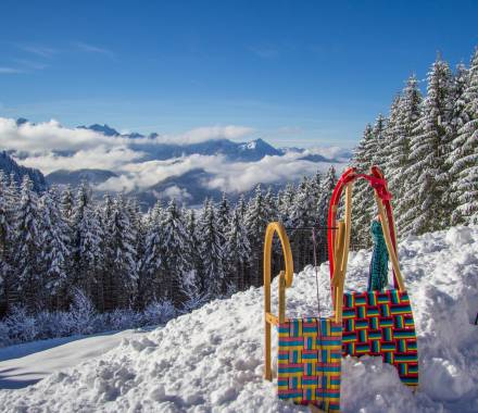 Schlitten im Schnee mit Aussicht auf Tannenwald