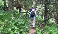 wanderung_juni-7