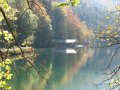 Alpsee