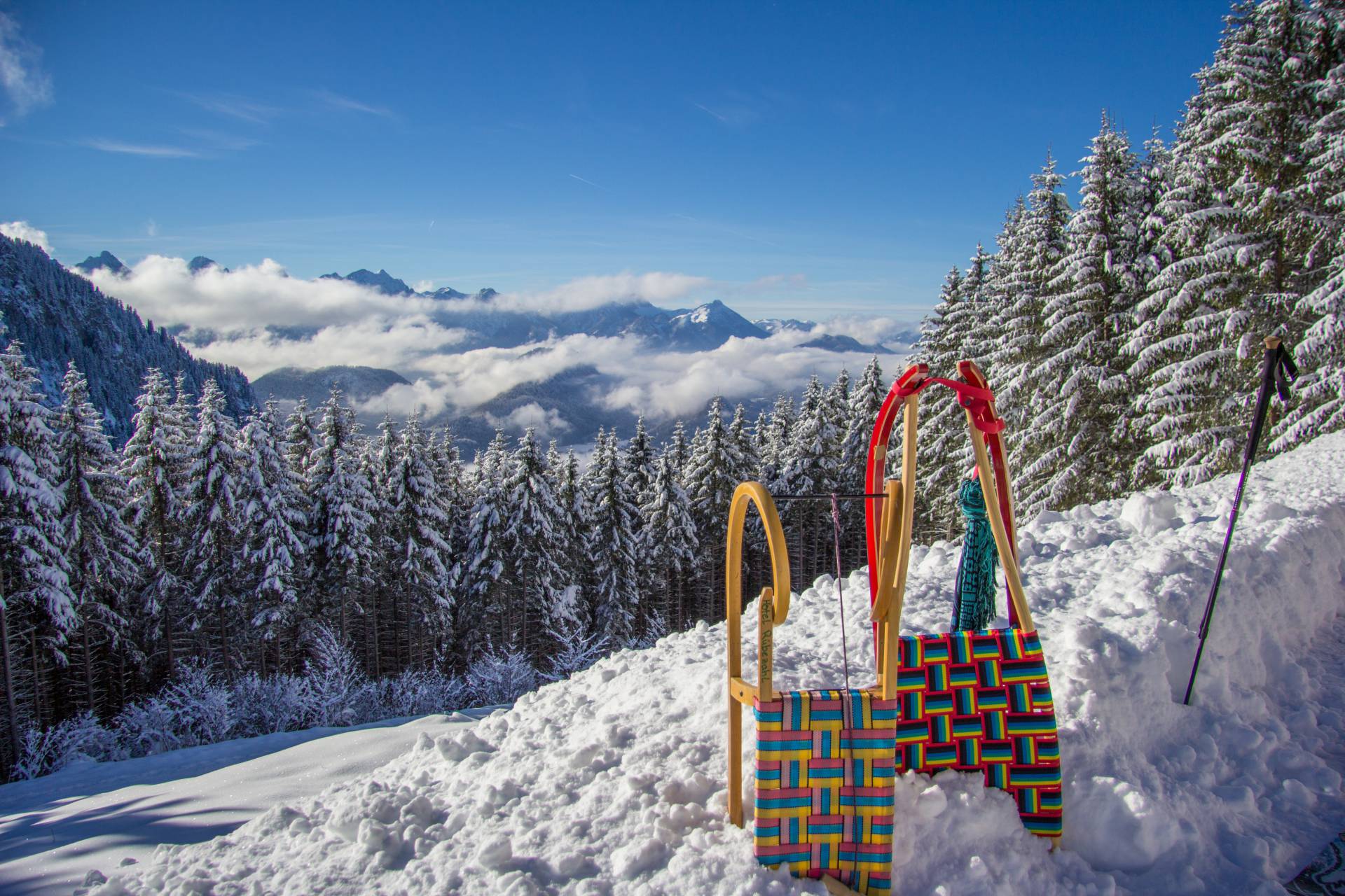 Schlitten im Schnee mit Aussicht auf Tannenwald