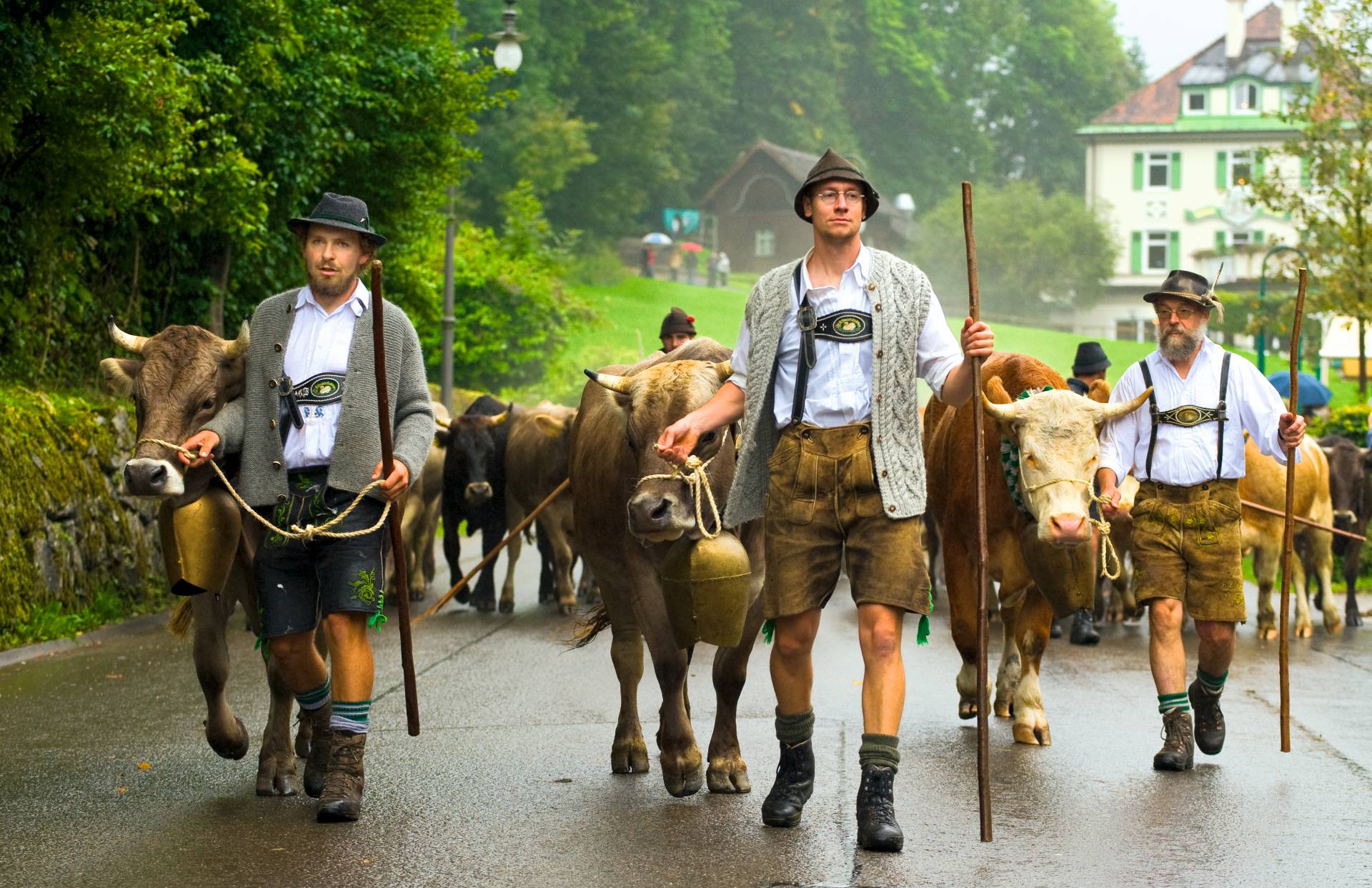 Tradition Viehscheid bei Füssen