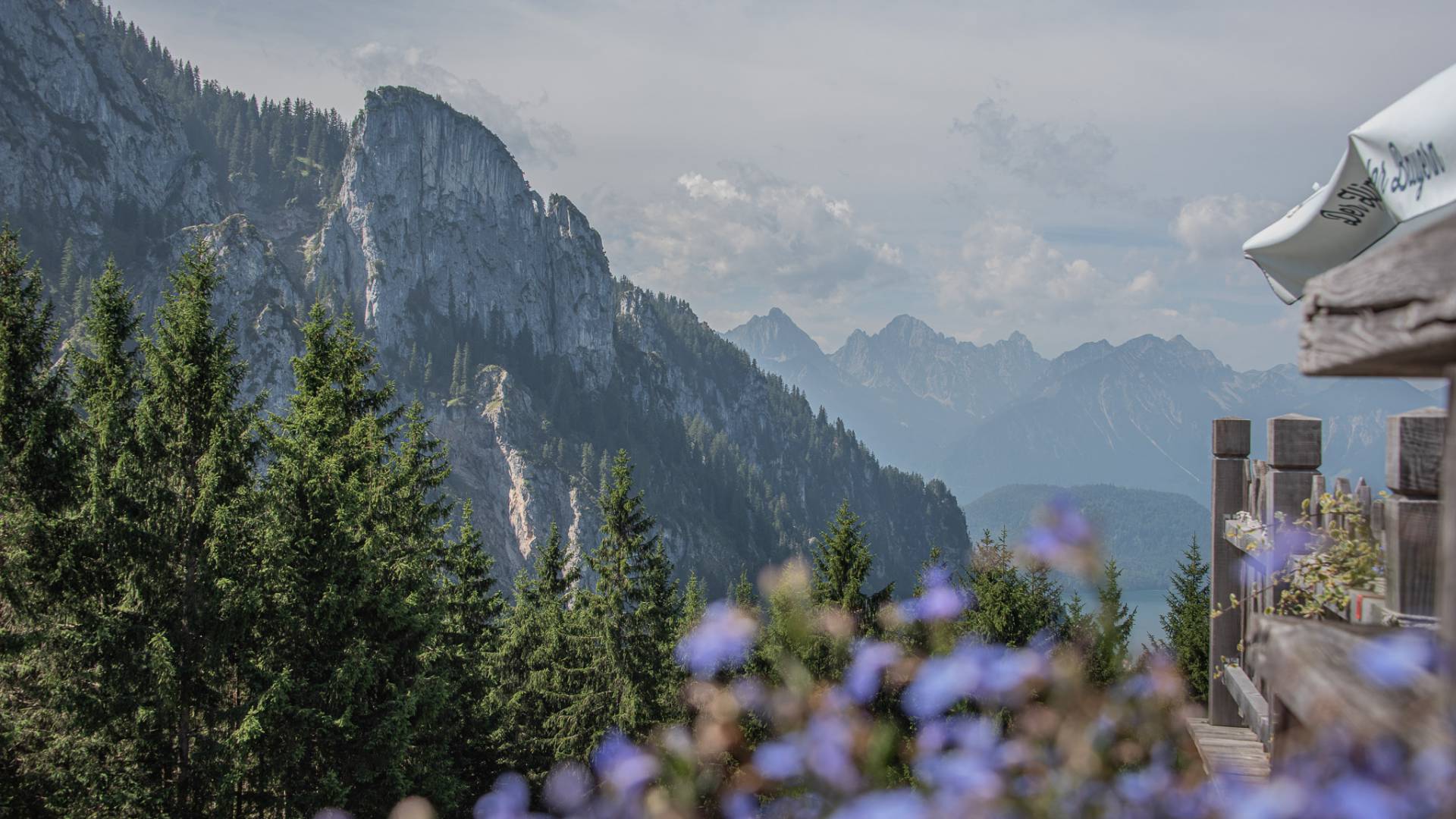 Ausblick von der Rohrkopfhütte am Tegelberg