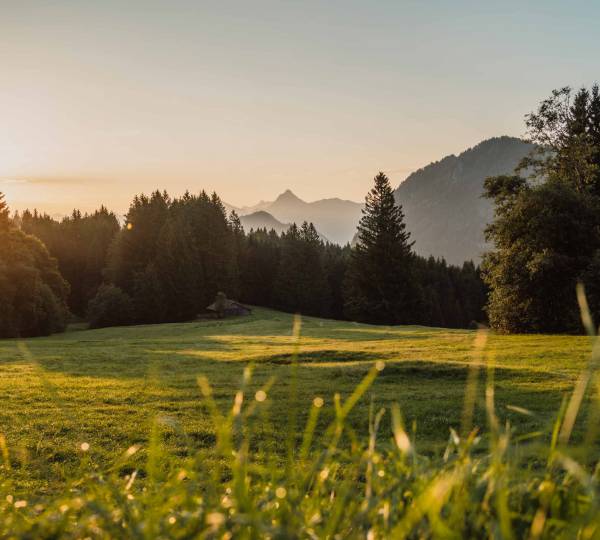 Berghütten Panorama vom Edelsberg, Pfronten