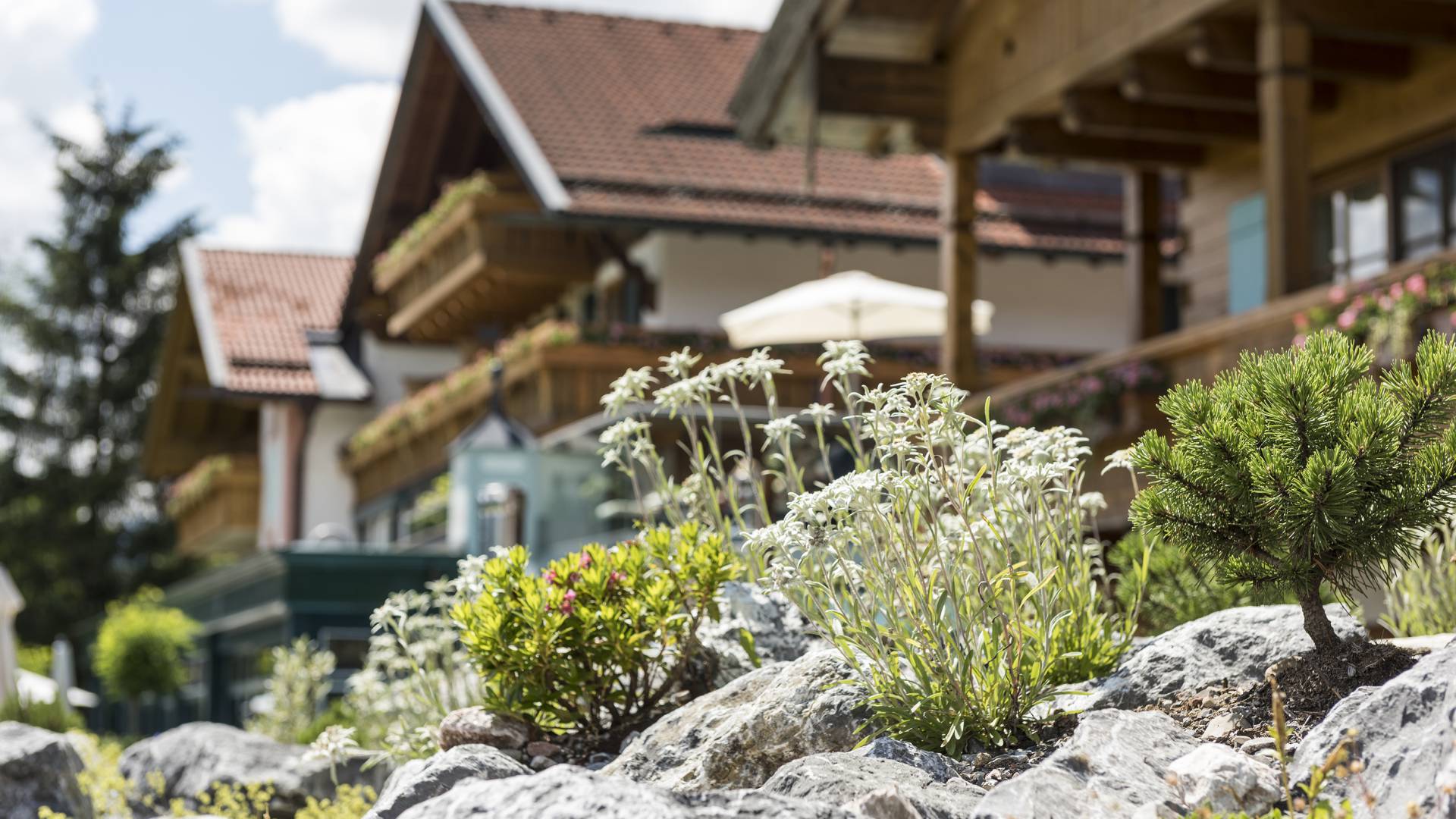 Sommerurlaub im Allgäu - Erholungsurlaub im 4 Sterne Hotel das Rübezahl