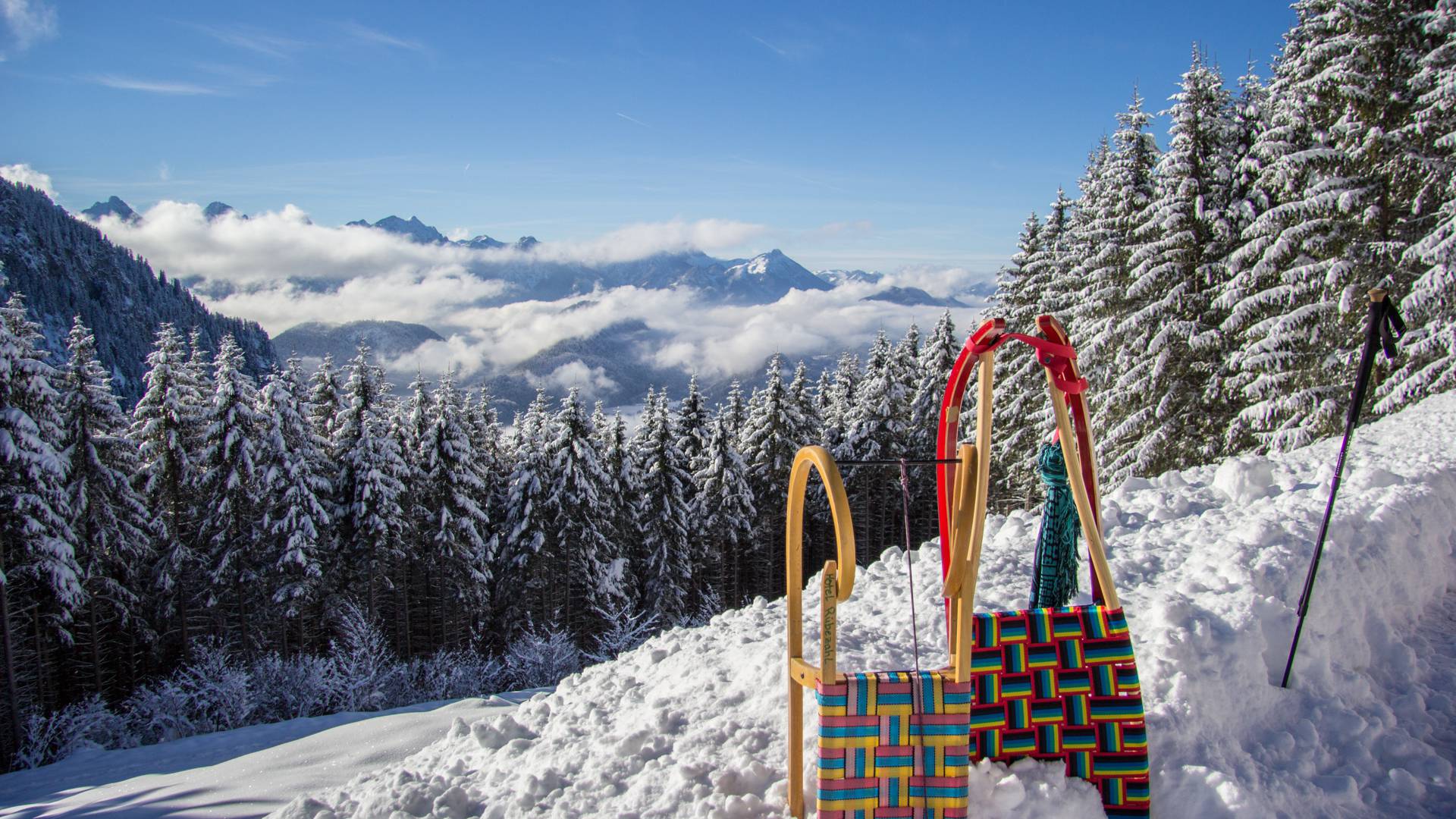 Schlitten stecken im Schnee mit Aussicht auf das Tal