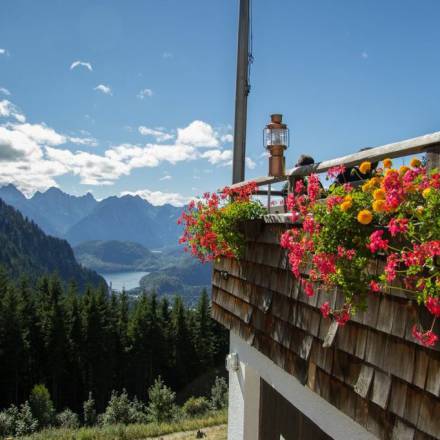 Aussicht ins Tal von der Rohrkopfhütte am Tegelberg aus