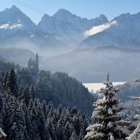 Schloss Neuschwanstein in Winterlandschaft