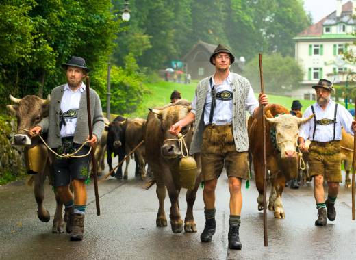 Tradition Viehscheid bei Füssen