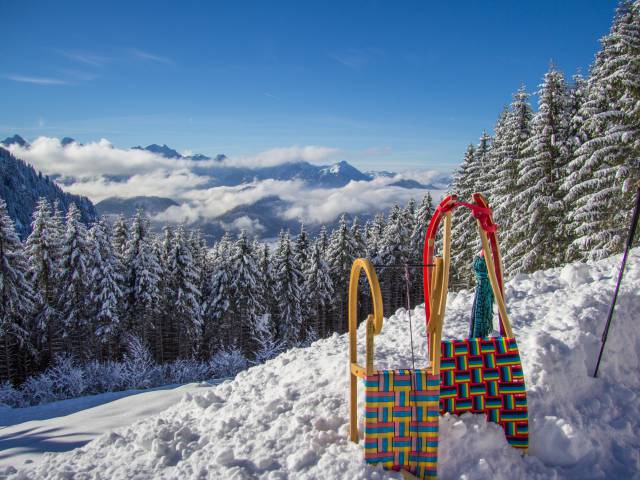 Schlitten im Schnee mit Aussicht auf Tannenwald