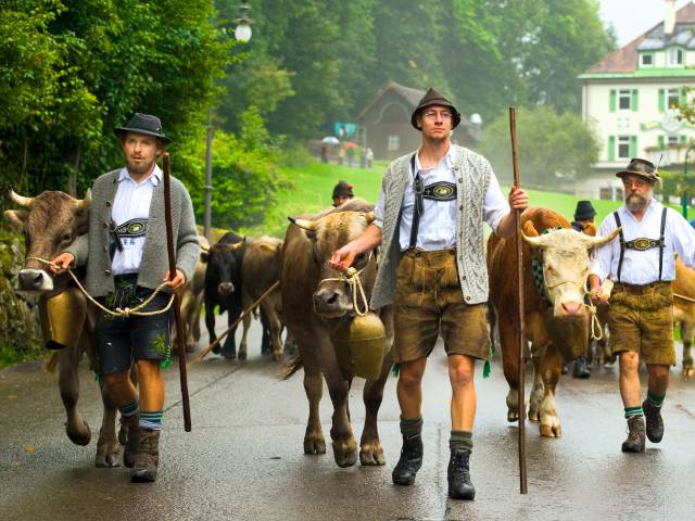 Tradition Viehscheid bei Füssen