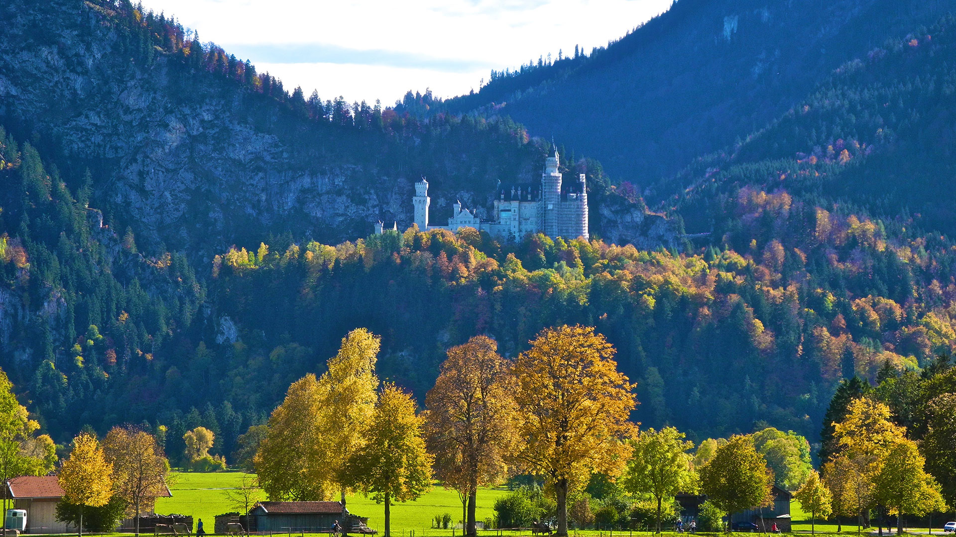 Blick auf das Schloss Neuschwanstein