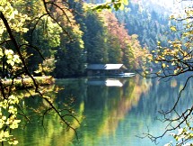 Alpsee im Allgäu